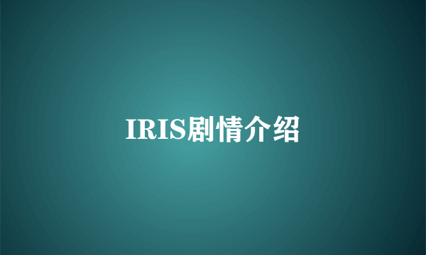 IRIS剧情介绍