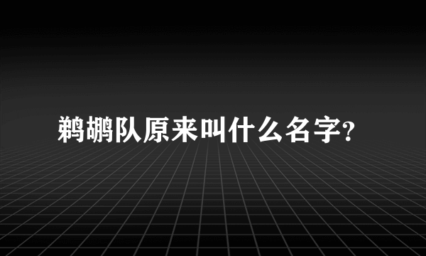 鹈鹕队原来叫什么名字？