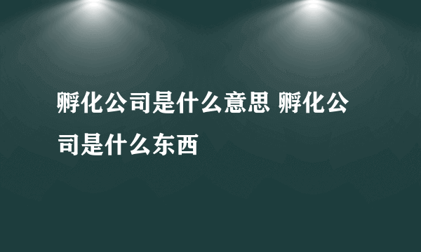 孵化公司是什么意思 孵化公司是什么东西