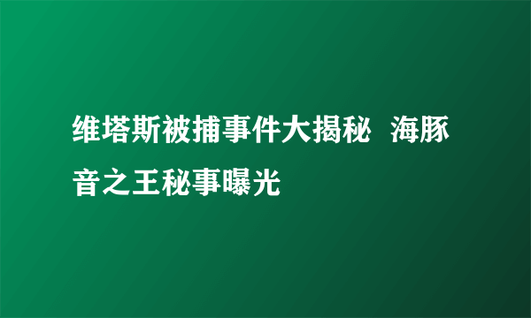 维塔斯被捕事件大揭秘  海豚音之王秘事曝光