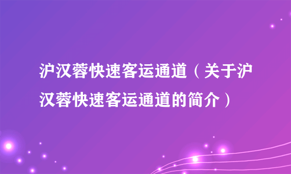 沪汉蓉快速客运通道（关于沪汉蓉快速客运通道的简介）