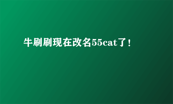 牛刷刷现在改名55cat了！