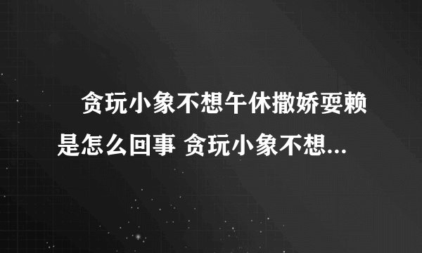 ​贪玩小象不想午休撒娇耍赖是怎么回事 贪玩小象不想午休撒娇耍赖具体情况