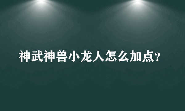 神武神兽小龙人怎么加点？