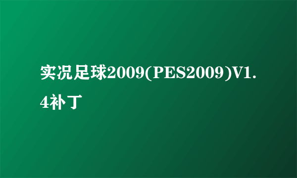 实况足球2009(PES2009)V1.4补丁