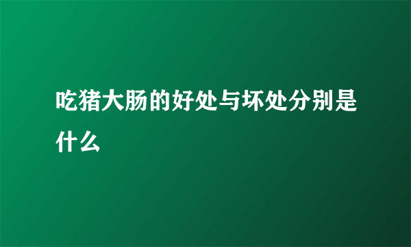 吃猪大肠的好处与坏处分别是什么