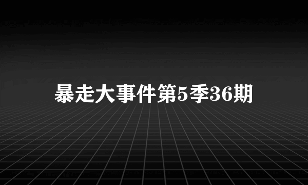 暴走大事件第5季36期