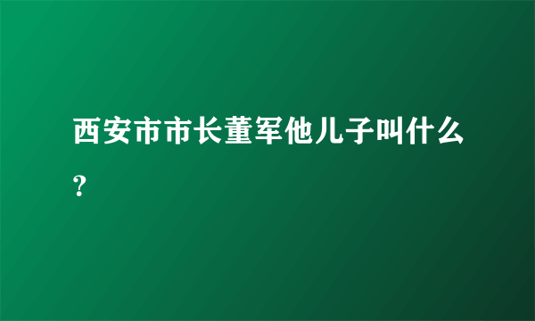 西安市市长董军他儿子叫什么？