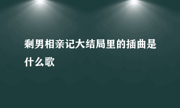 剩男相亲记大结局里的插曲是什么歌