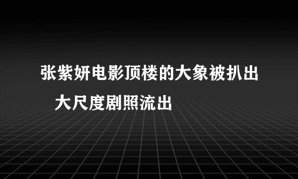 张紫妍电影顶楼的大象被扒出   大尺度剧照流出