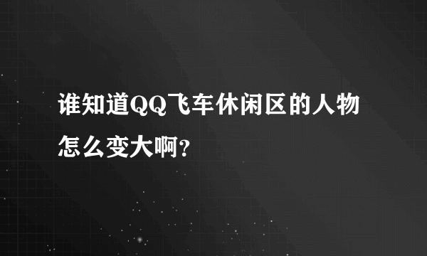 谁知道QQ飞车休闲区的人物怎么变大啊？