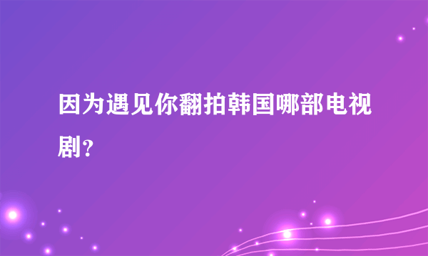 因为遇见你翻拍韩国哪部电视剧？