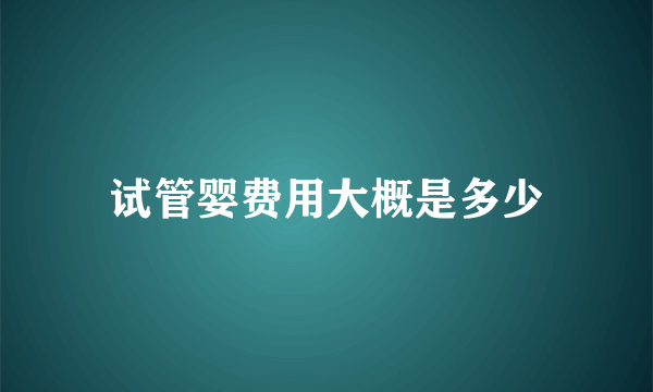 试管婴费用大概是多少