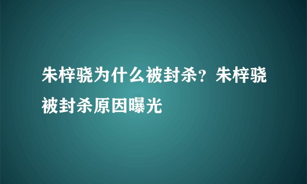 朱梓骁为什么被封杀？朱梓骁被封杀原因曝光