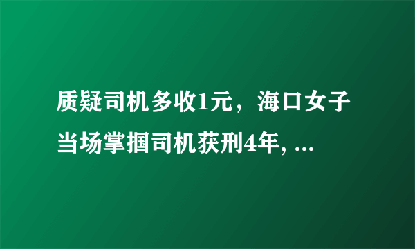 质疑司机多收1元，海口女子当场掌掴司机获刑4年, 你怎么看？