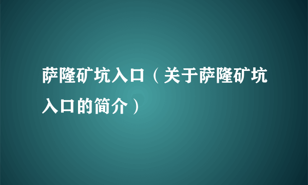 萨隆矿坑入口（关于萨隆矿坑入口的简介）