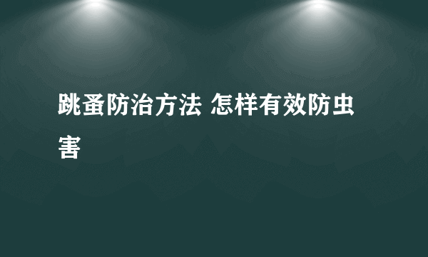 跳蚤防治方法 怎样有效防虫害