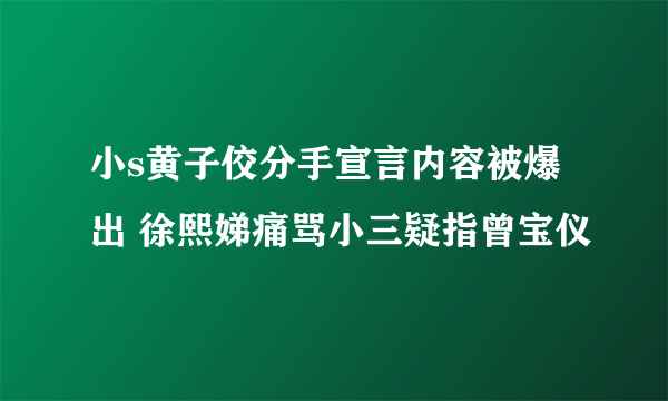 小s黄子佼分手宣言内容被爆出 徐熙娣痛骂小三疑指曾宝仪