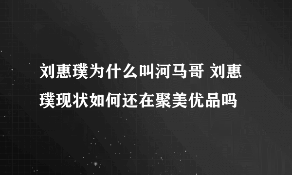 刘惠璞为什么叫河马哥 刘惠璞现状如何还在聚美优品吗