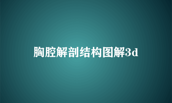 胸腔解剖结构图解3d