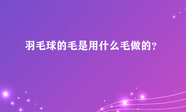 羽毛球的毛是用什么毛做的？