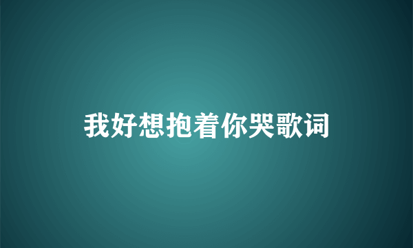 我好想抱着你哭歌词