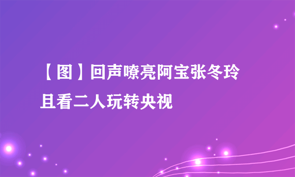 【图】回声嘹亮阿宝张冬玲 且看二人玩转央视