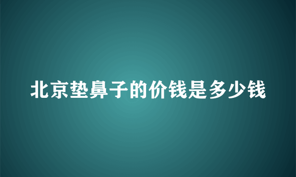 北京垫鼻子的价钱是多少钱