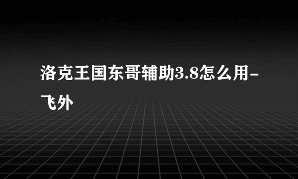 洛克王国东哥辅助3.8怎么用-飞外