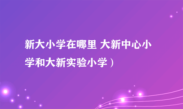 新大小学在哪里 大新中心小学和大新实验小学）