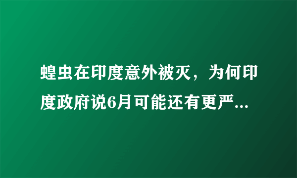 蝗虫在印度意外被灭，为何印度政府说6月可能还有更严重的蝗灾？