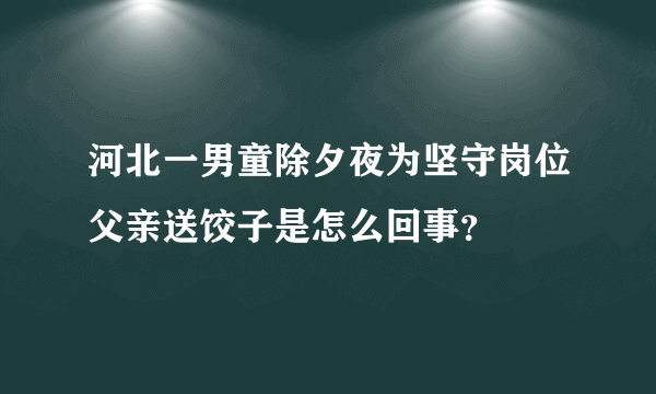 河北一男童除夕夜为坚守岗位父亲送饺子是怎么回事？