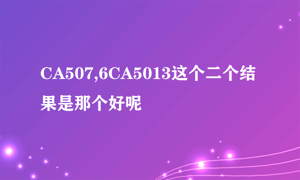 CA507,6CA5013这个二个结果是那个好呢