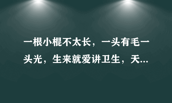 一根小棍不太长，一头有毛一头光，生来就爱讲卫生，天天嘴里跑几趟。 提示：打一常用物