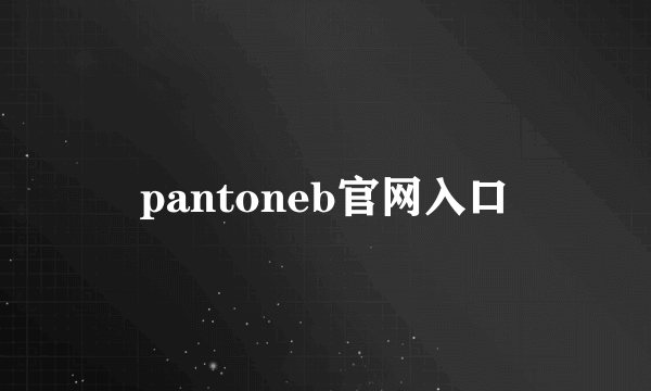 pantoneb官网入口