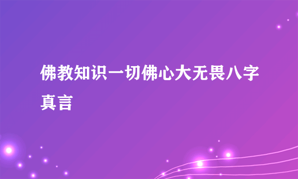 佛教知识一切佛心大无畏八字真言