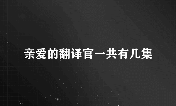 亲爱的翻译官一共有几集