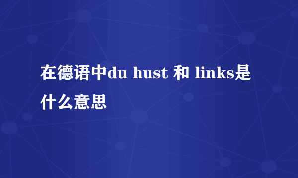 在德语中du hust 和 links是什么意思