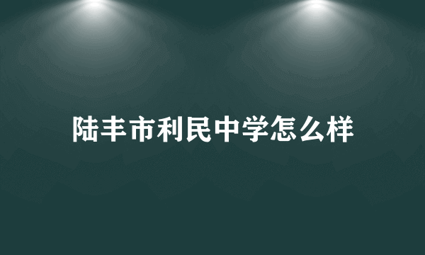 陆丰市利民中学怎么样