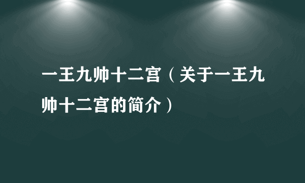 一王九帅十二宫（关于一王九帅十二宫的简介）