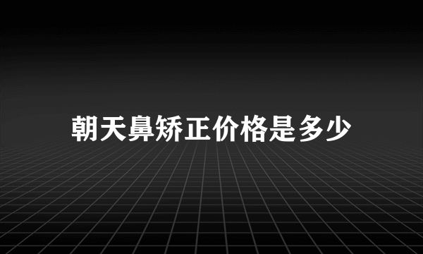 朝天鼻矫正价格是多少