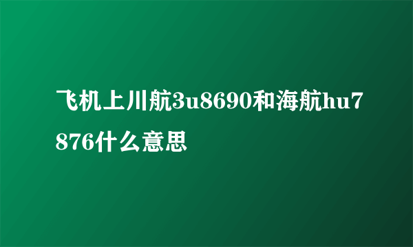 飞机上川航3u8690和海航hu7876什么意思