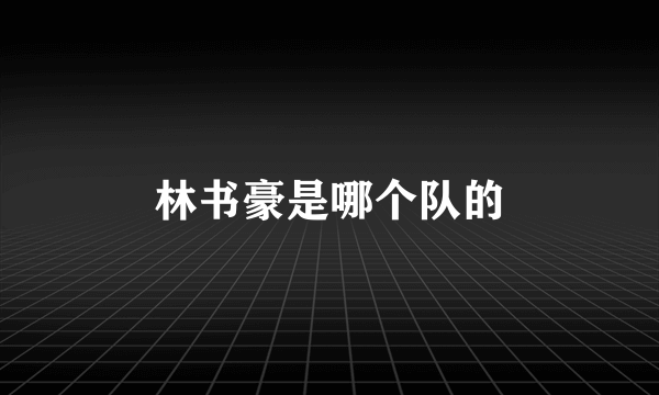 林书豪是哪个队的