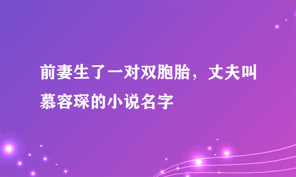 前妻生了一对双胞胎，丈夫叫慕容琛的小说名字