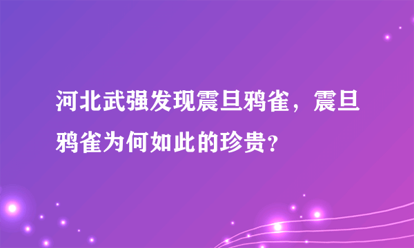 河北武强发现震旦鸦雀，震旦鸦雀为何如此的珍贵？