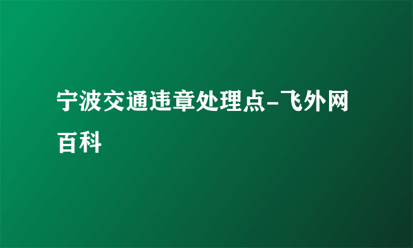 宁波交通违章处理点-飞外网百科