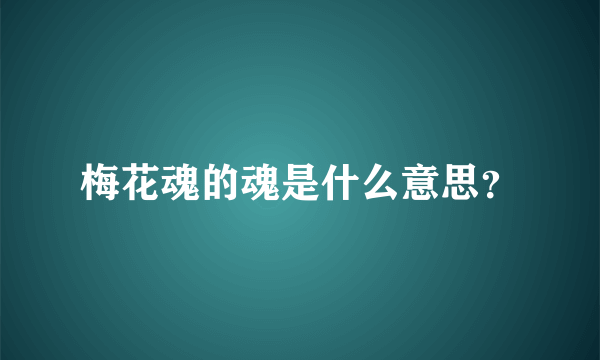 梅花魂的魂是什么意思？