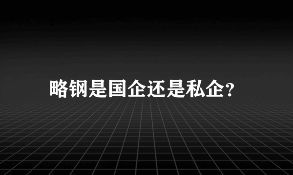 略钢是国企还是私企？