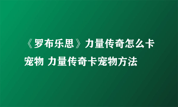 《罗布乐思》力量传奇怎么卡宠物 力量传奇卡宠物方法