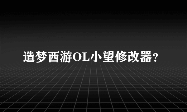 造梦西游OL小望修改器？